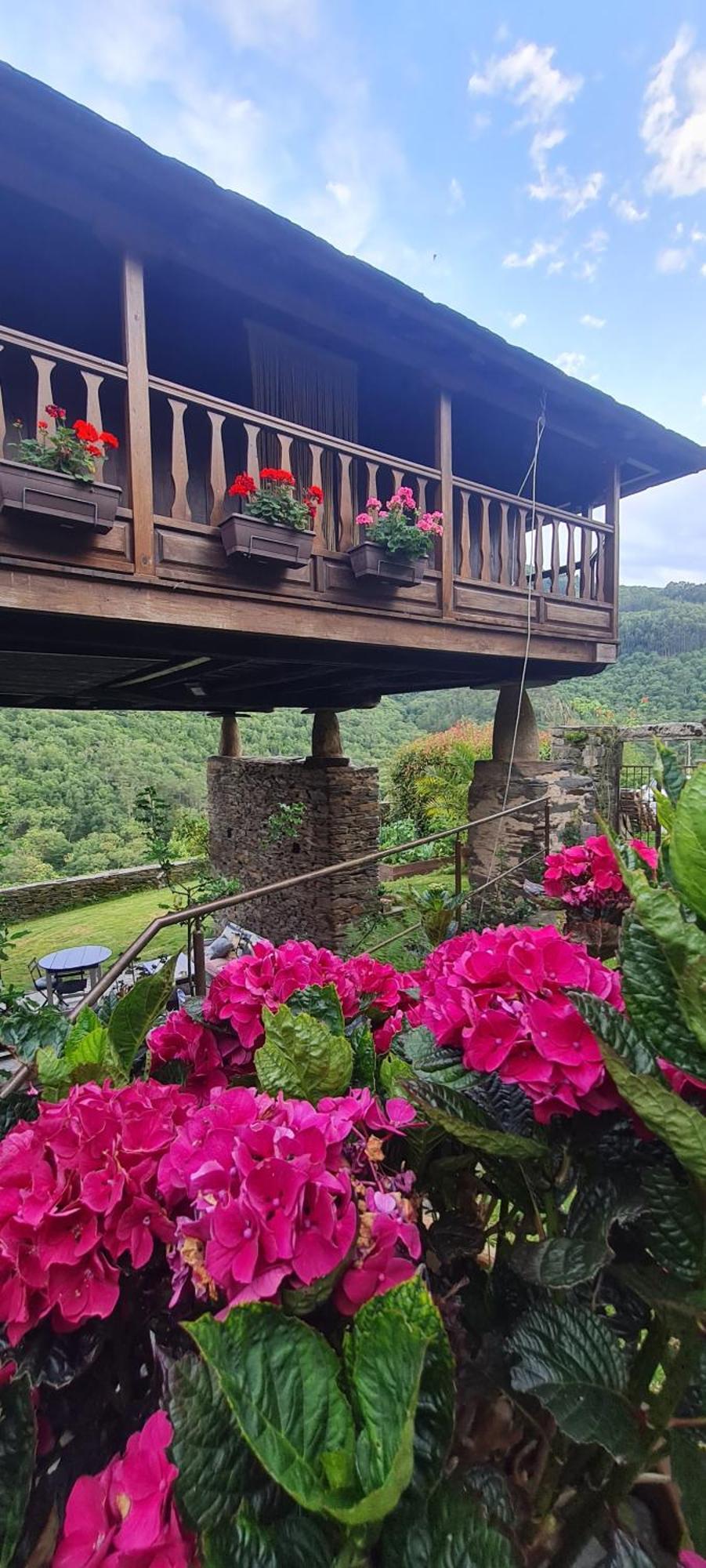 Apartamentos Rurales El Bosque De Las Vinas Boal Dış mekan fotoğraf