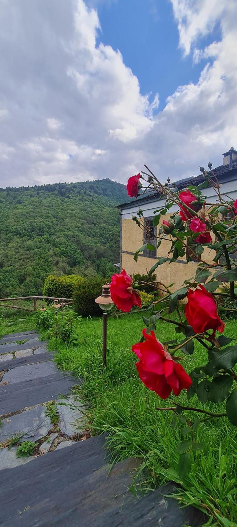 Apartamentos Rurales El Bosque De Las Vinas Boal Dış mekan fotoğraf
